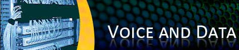 Voice Data